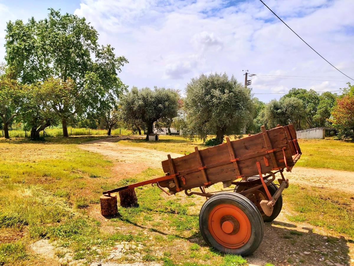 Casas Herdade Do Convento Da Serra Almeirim Exterior foto
