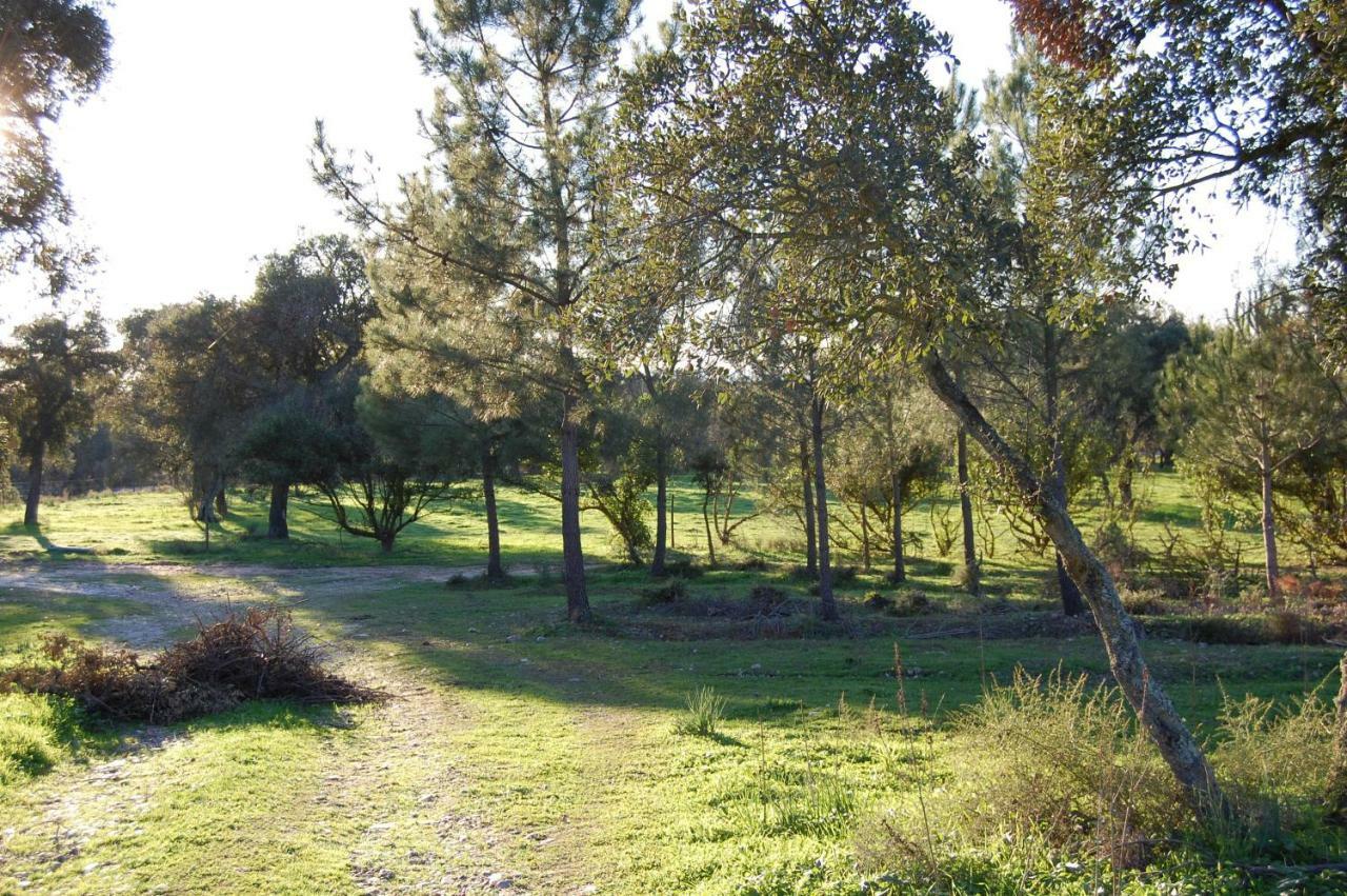 Casas Herdade Do Convento Da Serra Almeirim Exterior foto